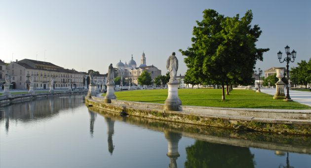 salute cervello
